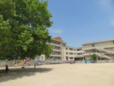 天理市立朝和小学校