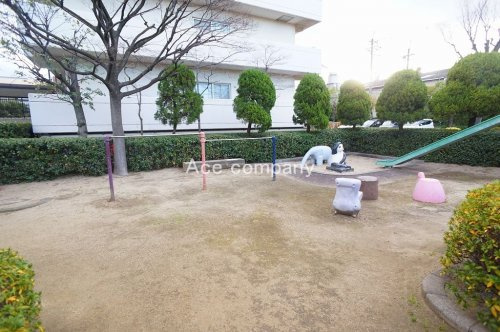 の画像