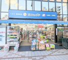 薬のヒグチ門前仲町店