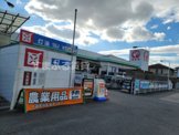 コメリハード&グリーン碧南店