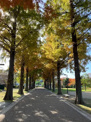 公園 三宝公園