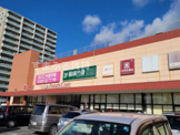 ザ・ダイソー DAISO ラ・フーズコア三河安城店