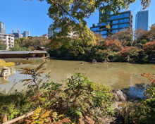 萩藩毛利家下屋敷跡