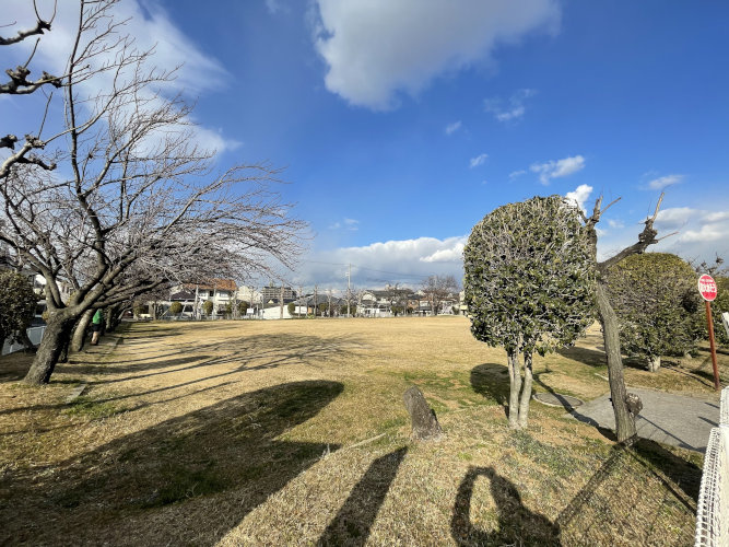の画像