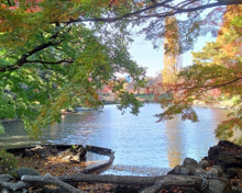 公園 渋谷川源流