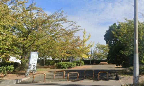 の画像