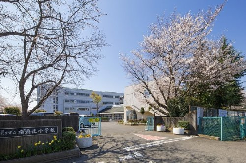 の画像