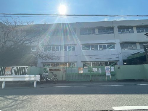の画像
