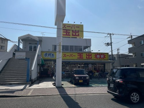 の画像