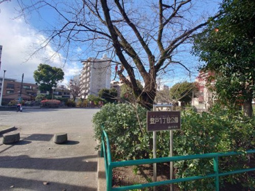 登戸１丁目公園の画像2