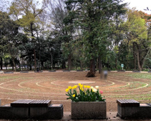 公園 出合いの広場