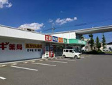 スギドラッグ 打中店