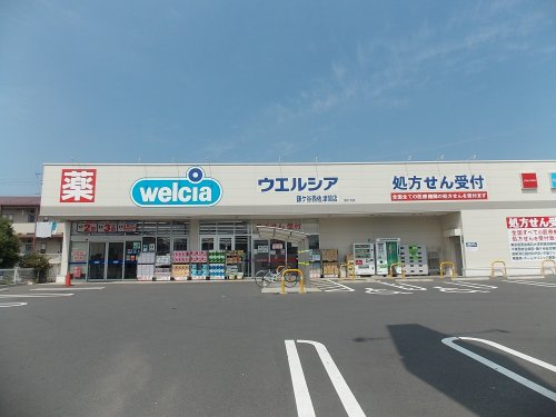 の画像