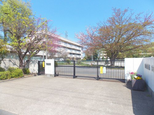 の画像