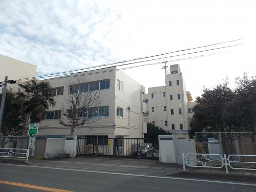の画像