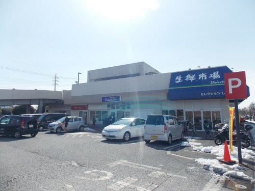 の画像