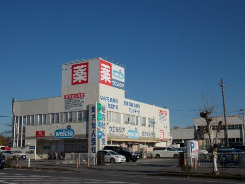 の画像