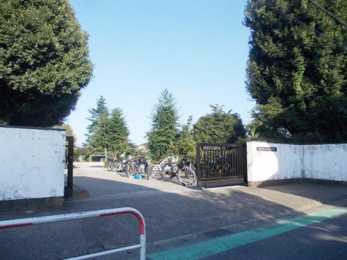 の画像