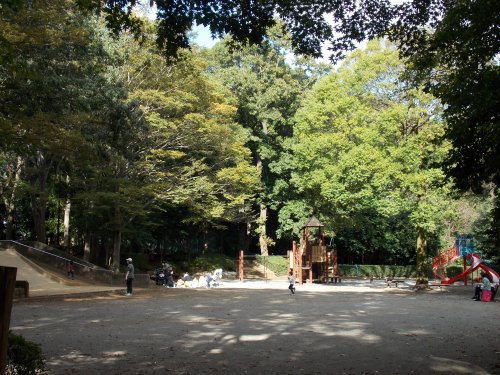 の画像