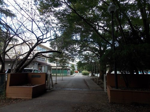 の画像