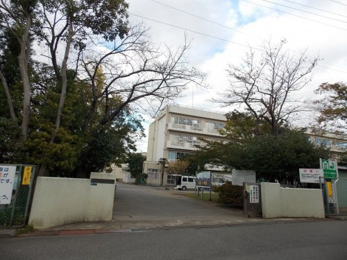 の画像