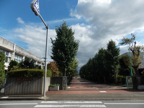 の画像