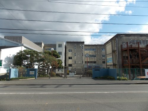 の画像
