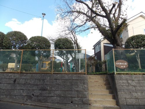 の画像
