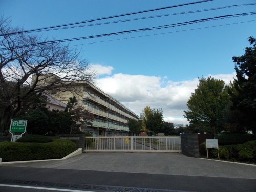 の画像