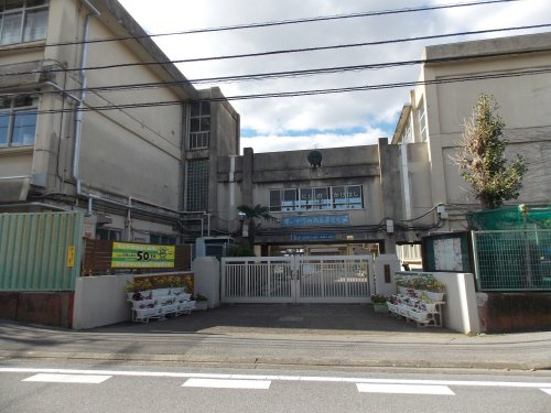 の画像