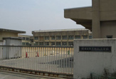 堺市立浜寺昭和小学校