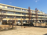 小学校 西宮市立鳴尾小学校