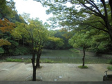 谷戸池公園