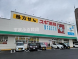 スギドラッグ 富士見店