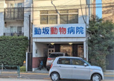 動坂動物病院