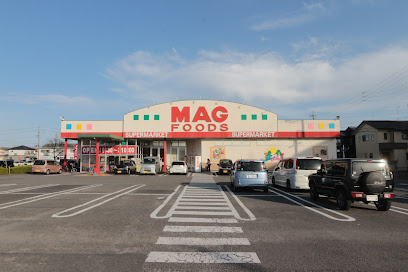 マグフーズ 六ツ美店の画像1