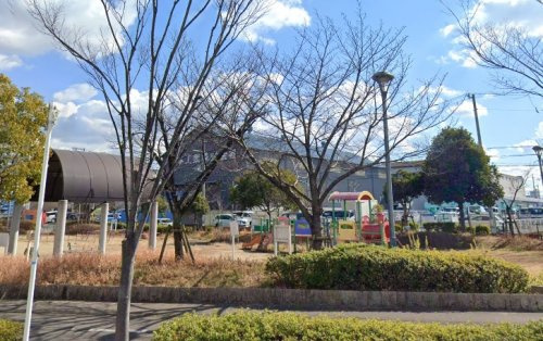 の画像