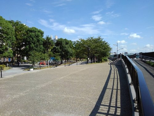 隅田公園の画像