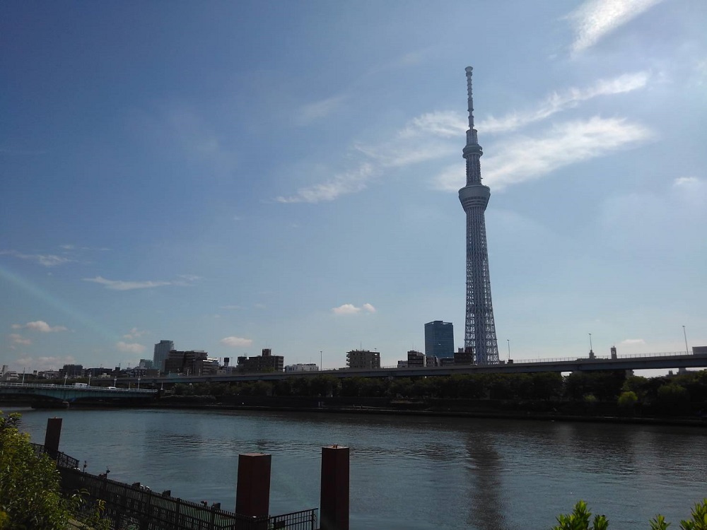 の画像