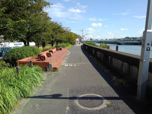 の画像