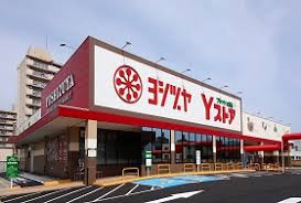 ヨシヅヤYストア笹塚食品館の画像