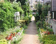 谷戸前川緑道