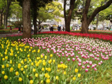 横浜公園