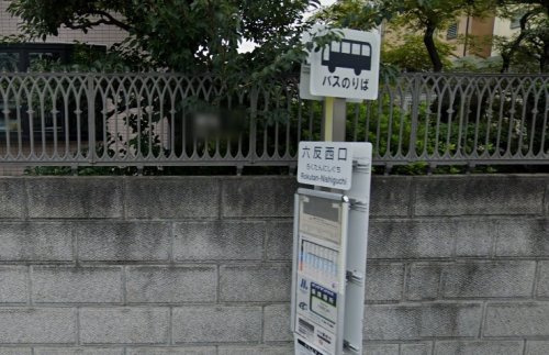 の画像