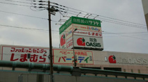 しまむら　あべの店