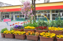 幼稚園 認定こども園ふたば幼稚園