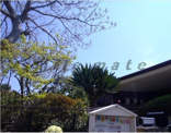 片瀬山幼稚園