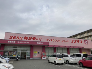 コスモスの画像1