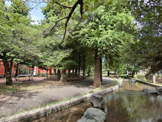 東綾瀬公園
