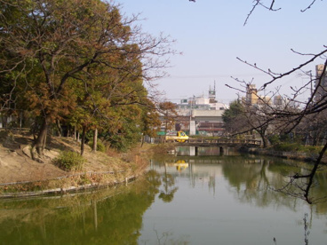 桃ヶ池公園の画像4